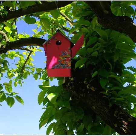 Gaia Porto Vandrarhem *