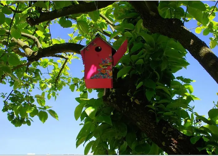 Gaia Porto Хостел *