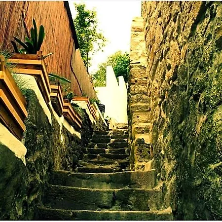 Gaia Porto * Vila Nova de Gaia