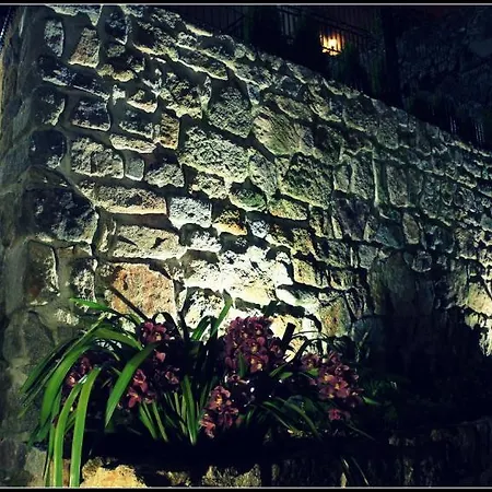 Gaia Porto *