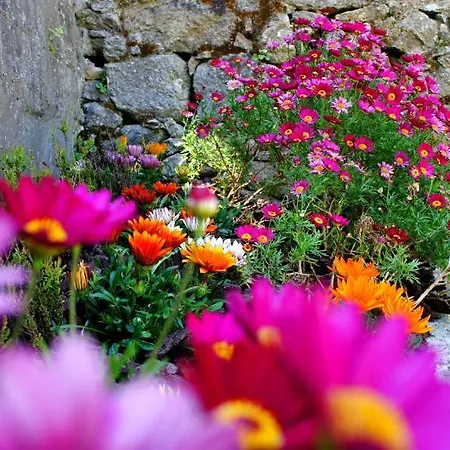 盖亚波尔图旅馆 *