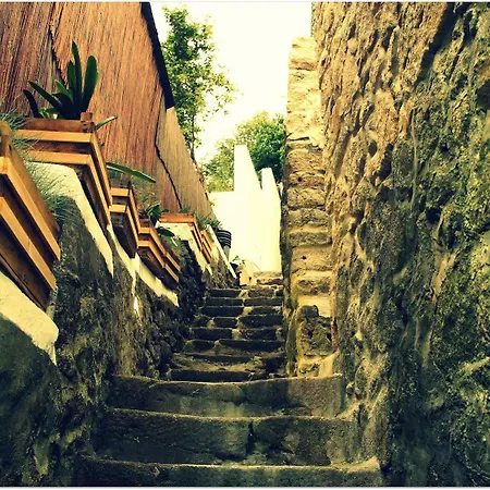 אכסניה Gaia Porto וילה נובה דה גאיה