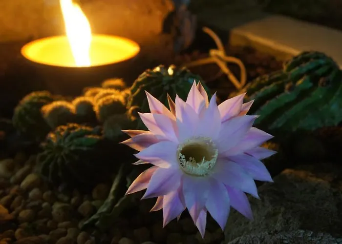 Hostel Gaia Porto Vila Nova de Gaia